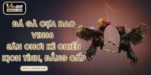 Đá Gà Cựa Dao VIN88 - Sân Chơi Kê Chiến Kịch Tính, Đẳng Cấp