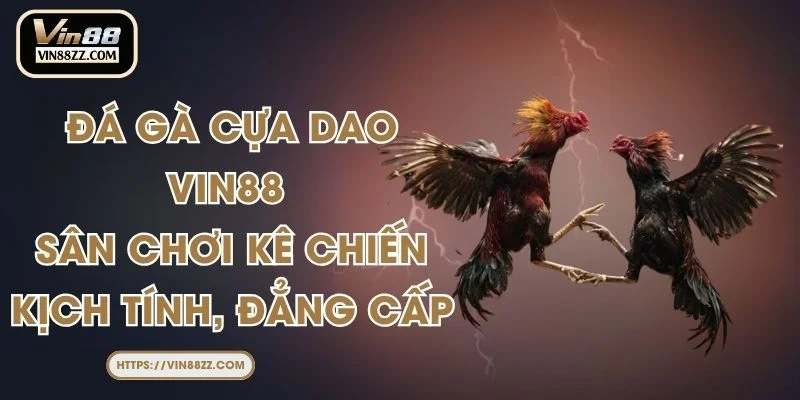 Đá Gà Cựa Dao VIN88 - Sân Chơi Kê Chiến Kịch Tính, Đẳng Cấp