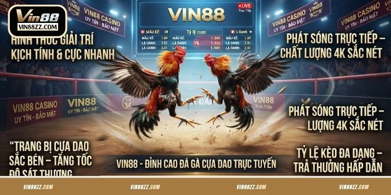 Hiểu rõ về hình thức đá gà cựa dao VIN88