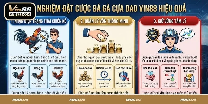Kinh nghiệm chơi Đá gà cựa dao  